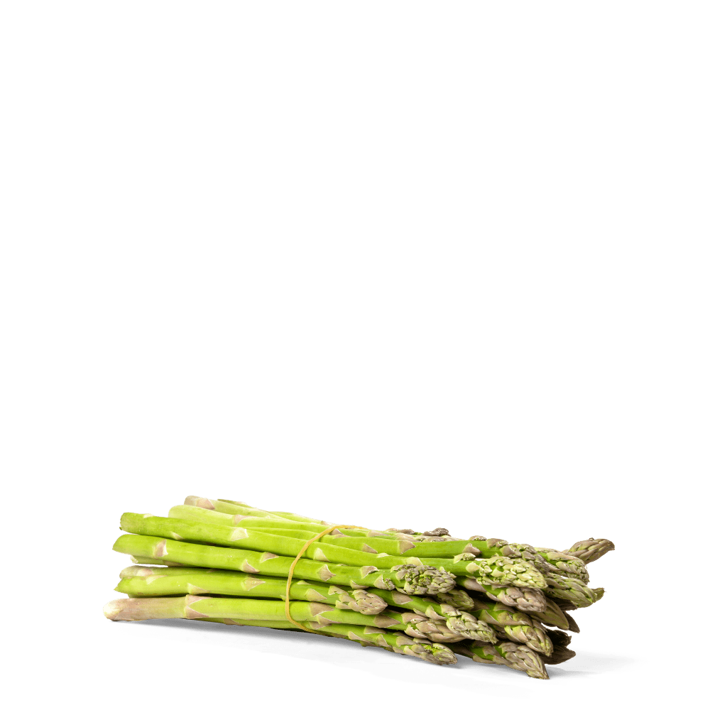 Organic Hybrid Asparagus Seeds -  Hibrido