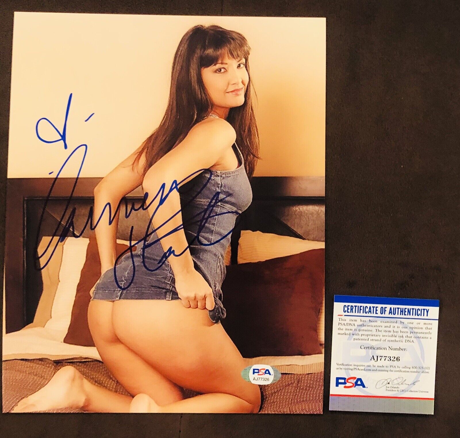 Carmen Hart Adult STAR SIGNED 8X10 Photo Poster painting Autograph Sexy Naughty America PSA