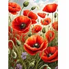 Champs de coquelicots - peinture diamant perceuse ronde - 40*50cm