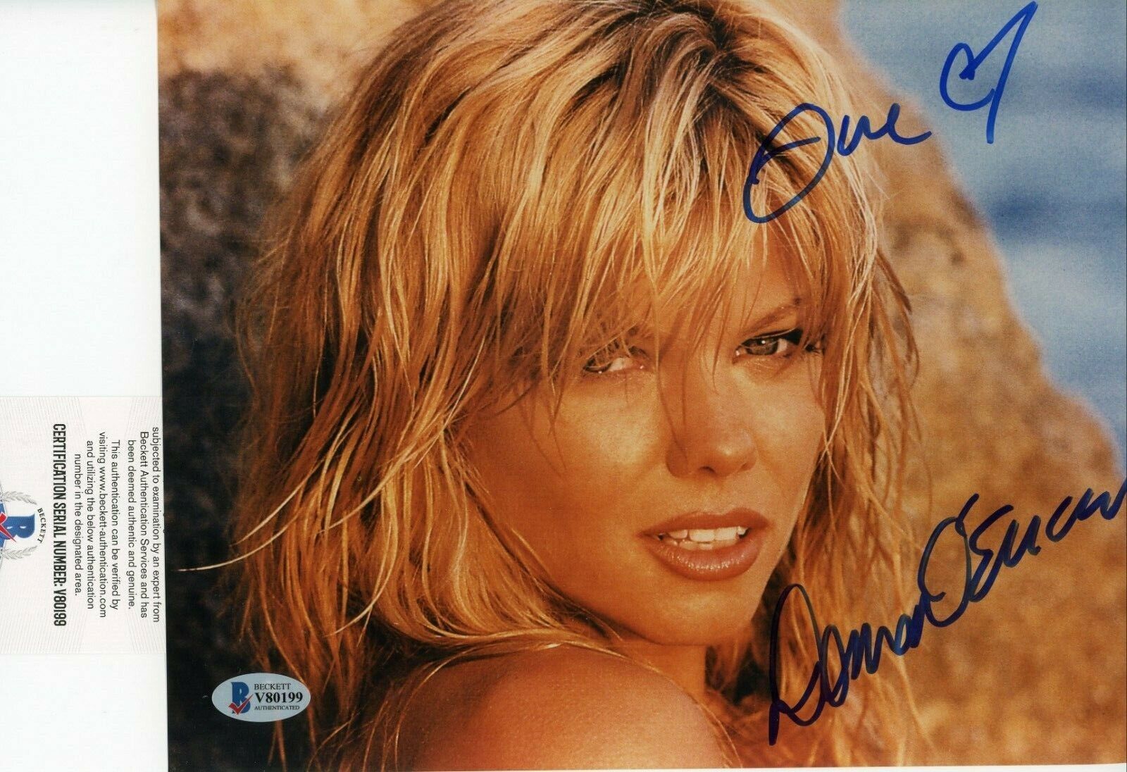 Donna D'Errico Playboy Baywatch Vintage Signed Autographed 8x10 Photo Poster painting Beckett