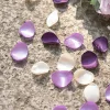 Artificial Burn Edge Silky Rose Petal Wedding Event Decor Scatter Flowers