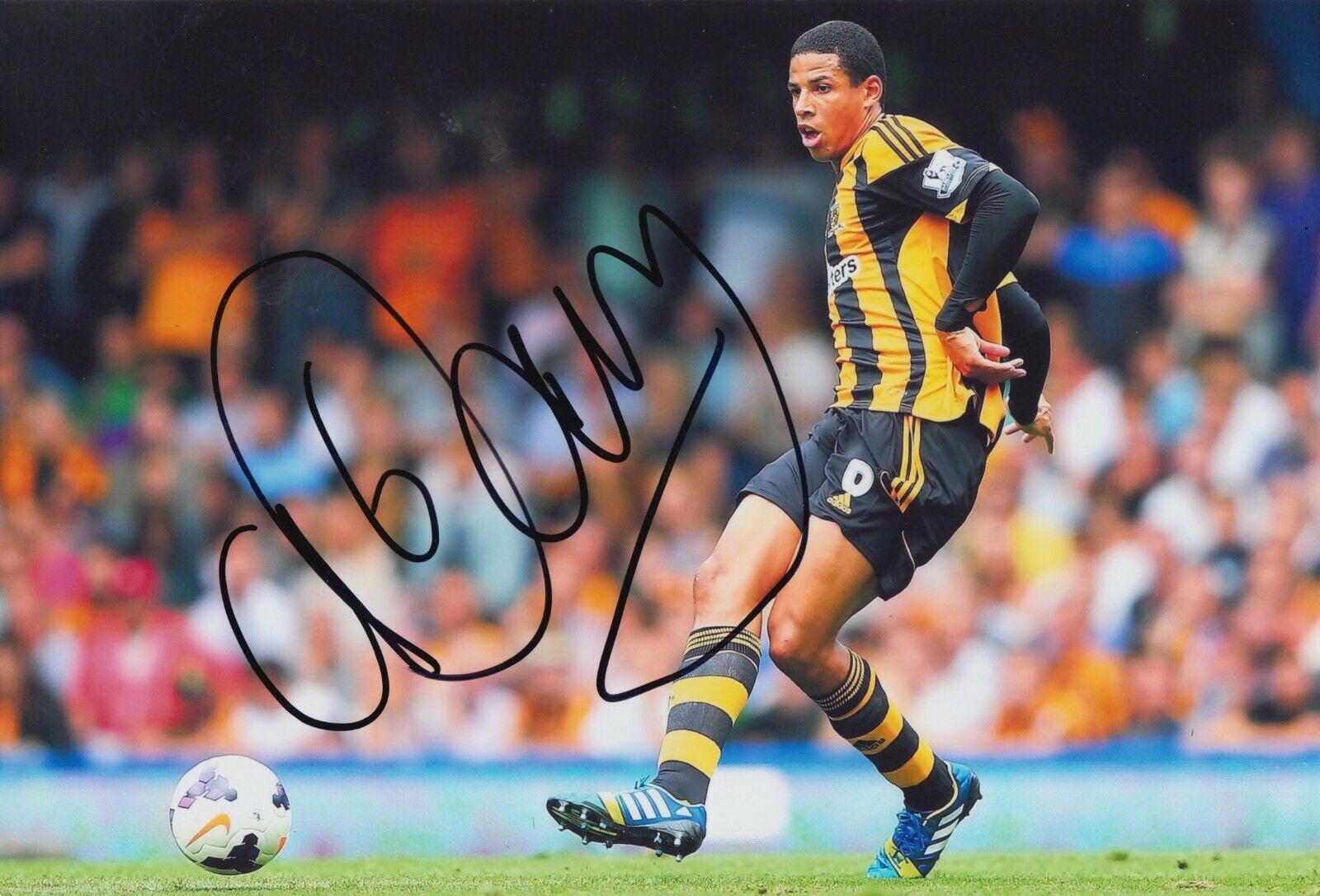 Curtis Davies Hand Signed 12x8 Photo Poster painting - Hull City - Football Autograph.