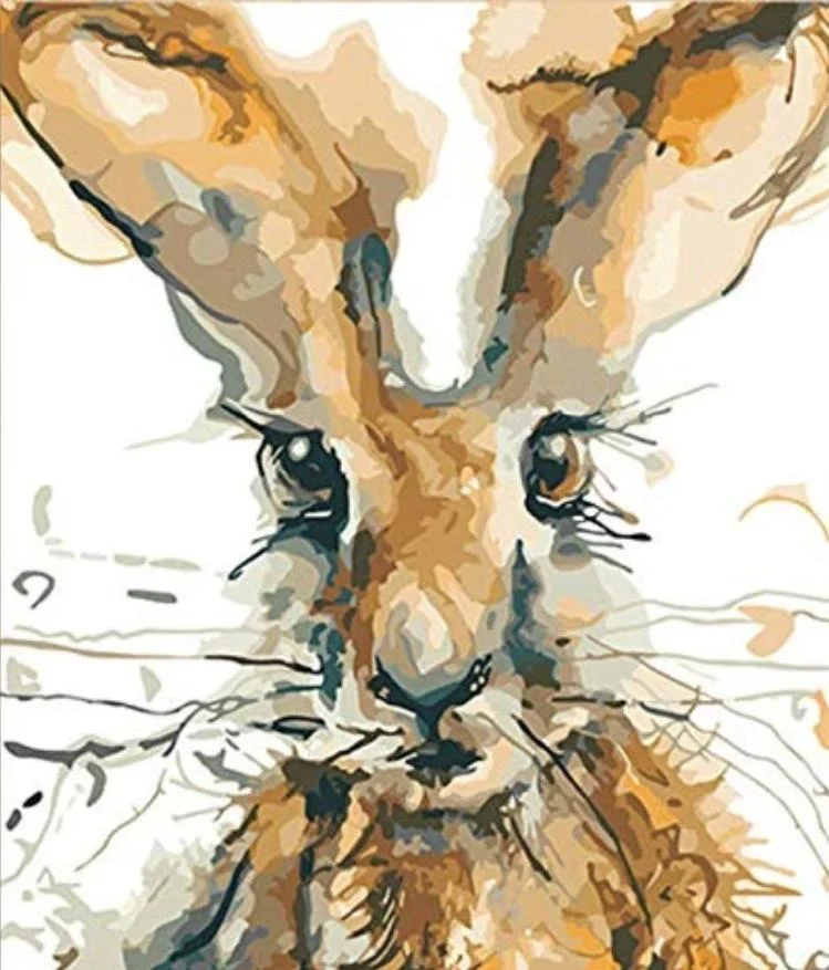 Animal Rabbit Paint By Numbers Kits UK For Adult HQD1264