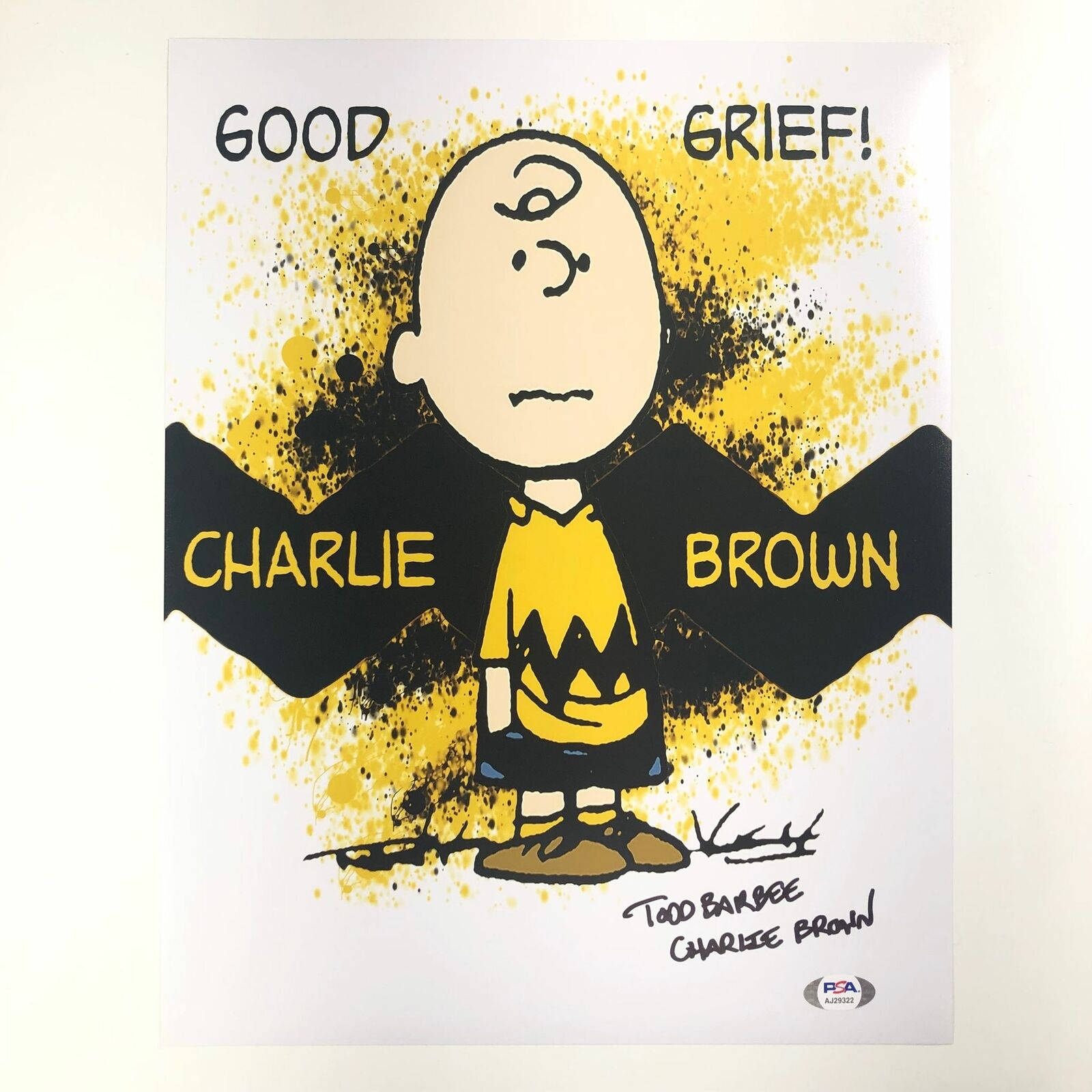 TODD BARBEE signed 11x14 Photo Poster painting PSA/DNA Autographed Peanuts