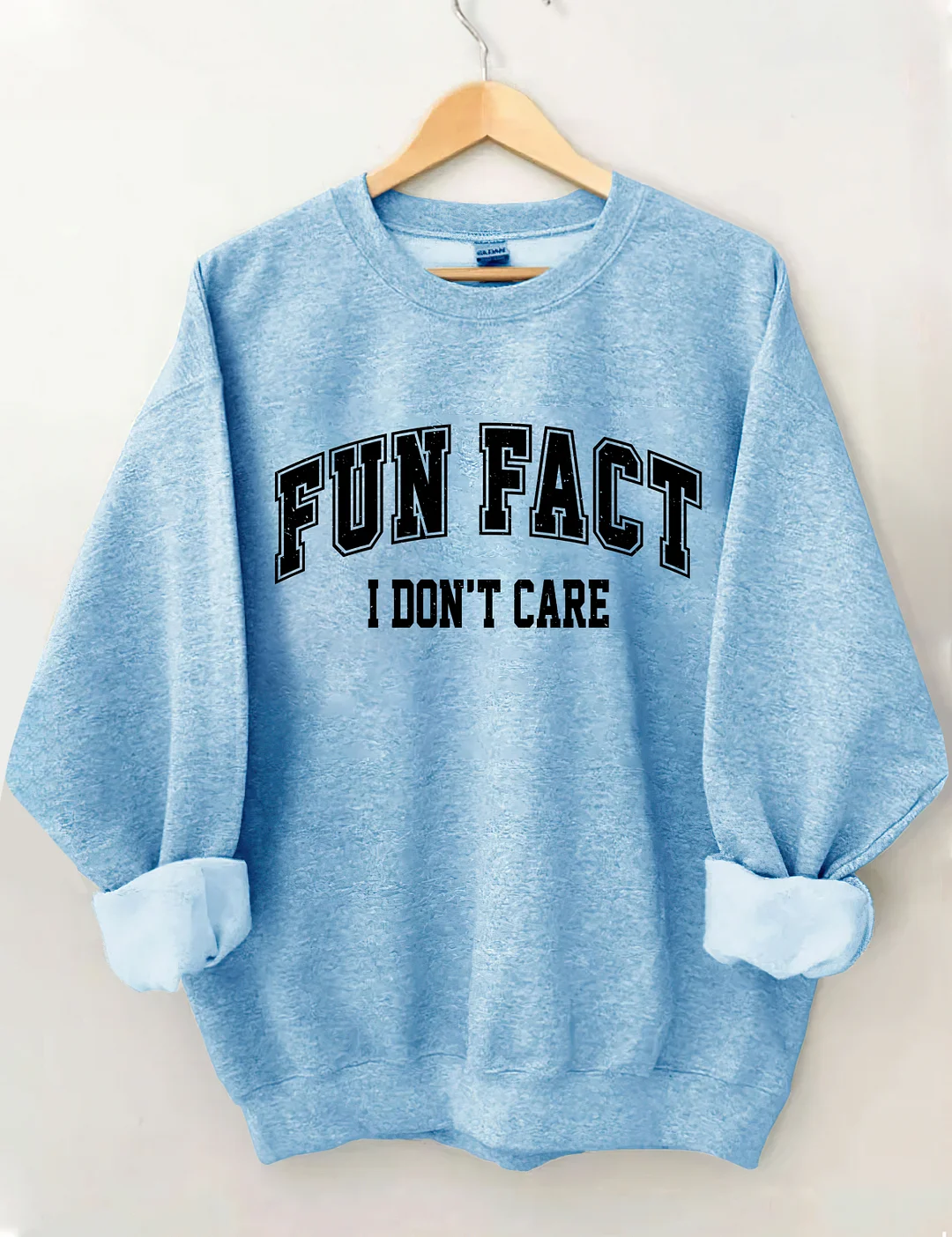 Fun Fact I Don't Care Sweatshirt