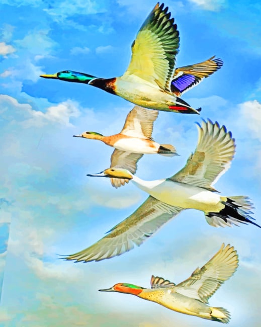 

Aesthetic Flock – Paint By Numbers - 40*50CM, 501 Original