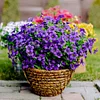 💖Last Day 70% OFF- Artificial Flowers for Outdoors💐