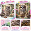 Kits de peinture en diamant partiel en forme de forme en forme sp&eacute;ciale de hibou en forme de 5d pour adultes d&eacute;butants, d&eacute;coration int&eacute;rieure, peintures en diamants, art de pierres pr&eacute;cieuses 11,81 x 11,81 pouces