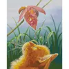 Staring Cat-14CT Stamped Cross Stitch 44*56cm/17.32*22.05in tapestrymarket