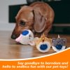 Squeaky Dog Toy Balls, Floating Dog Pool Balls, Dog Spiky Balls, Interactive Fetch Toys for Puppy, Dog Chew Toys for Boredom, for Small Medium and Large Dogs