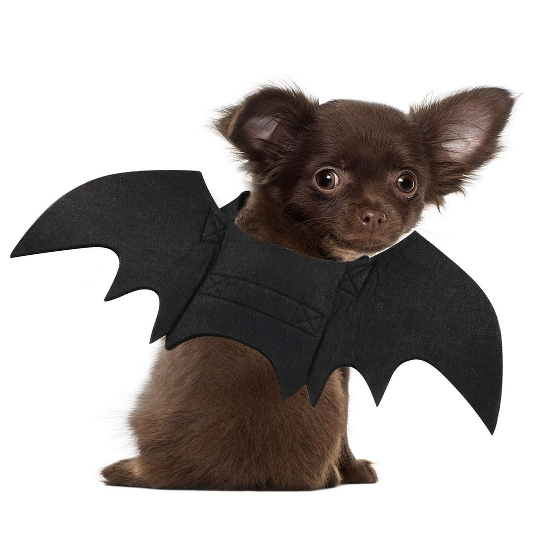Cat Halloween Costume - Halloween Bat Wings Pet Costumes for Cats and Small Dogs