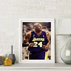 Diamond Painting | Full Round | Handsome Kobe