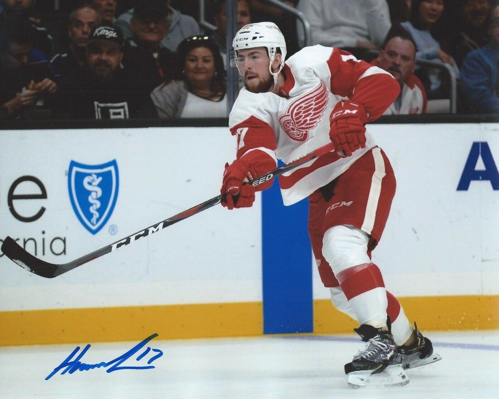 Filip Hronek Signed 8x10 Photo Poster painting Detroit Red Wings Autographed COA C