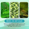 (2024 New Year Hot Sale)-NEW Algae Repellent Agent