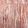 10PCS Floating Foil Fringe Shiny Tassels Curtain 100 X 300cm Party Backdrop