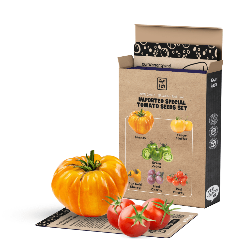 Exotic Tomato Seeds Set &ndash; 6 Special Varieties