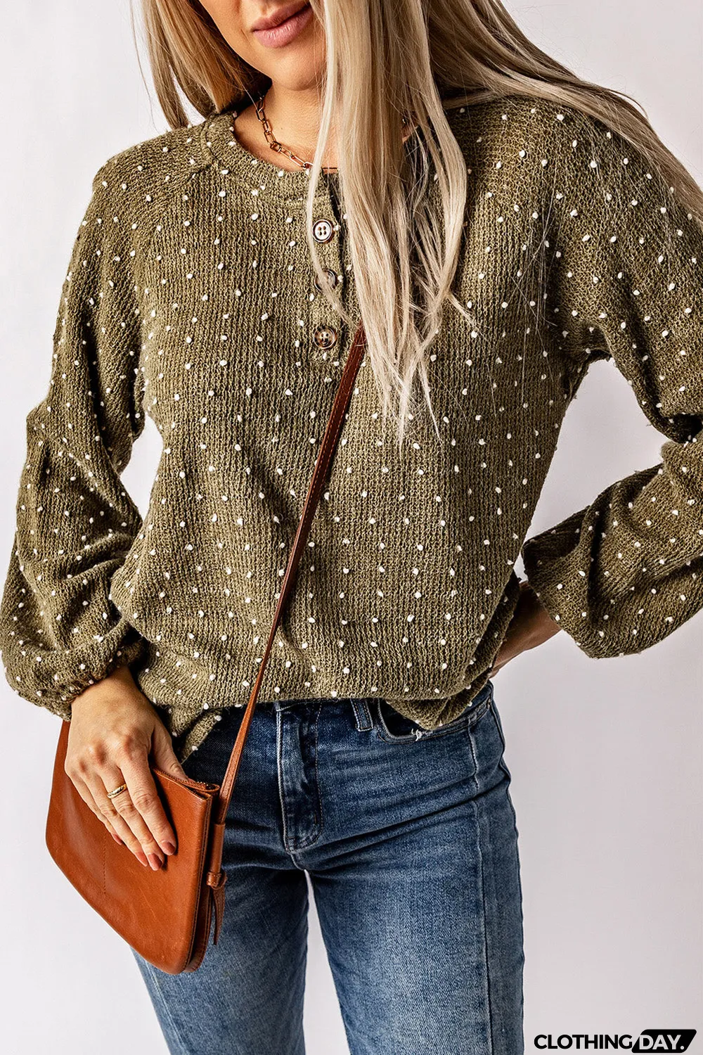 Swiss Dot Raglan Sleeves Knit Top