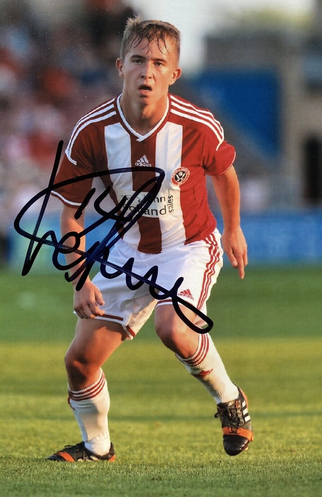 Louis Reed Genuine Hand Signed 6X4 Sheffield United Photo Poster painting