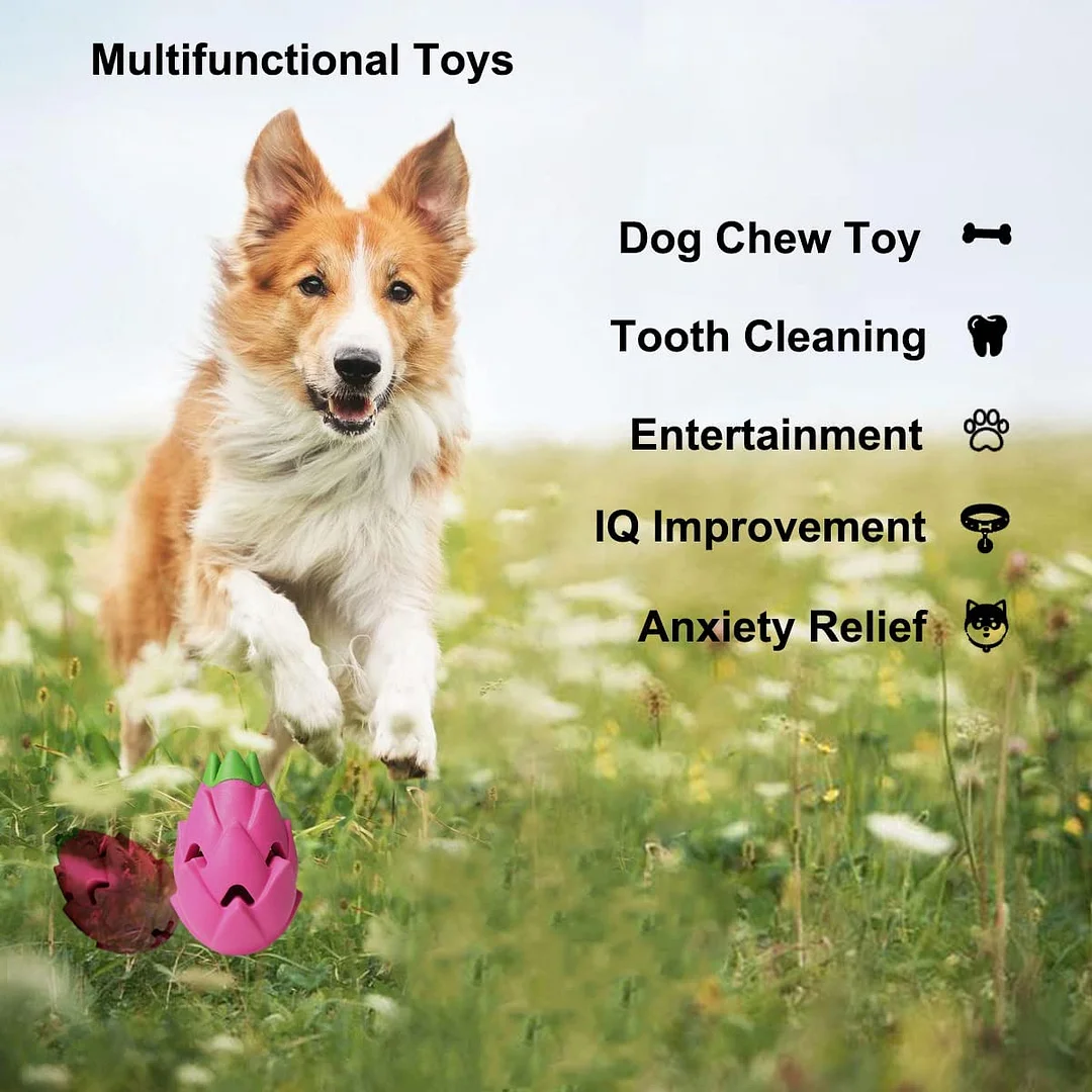 Pitaya Dog-Toys Dog Puzzle Toys, Treat Dispensing Dog Toys, Dog