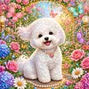 Diamond Painting -5D Full Round Drill Bichon Frise Puppy(40x40cm)