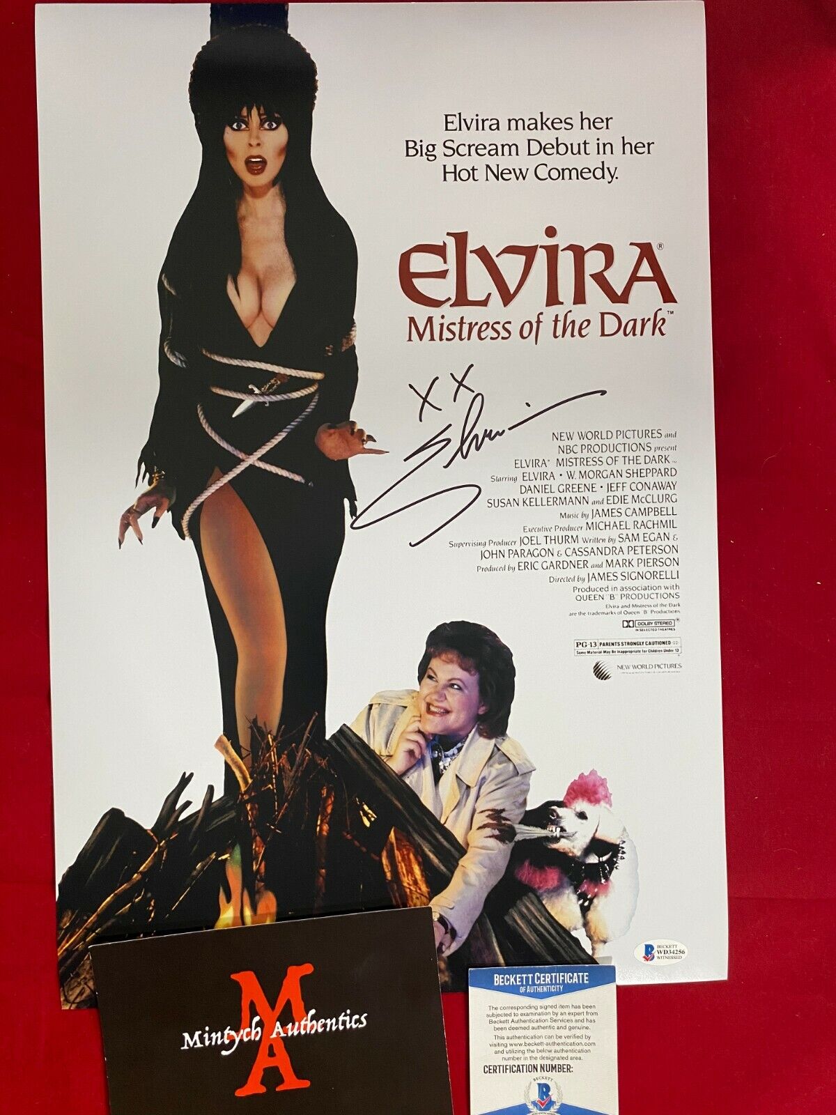 ELVIRA CASSANDRA PETERSON AUTOGRAPHED SIGNED 12x18 Photo Poster painting! BECKETT COA! HORROR!