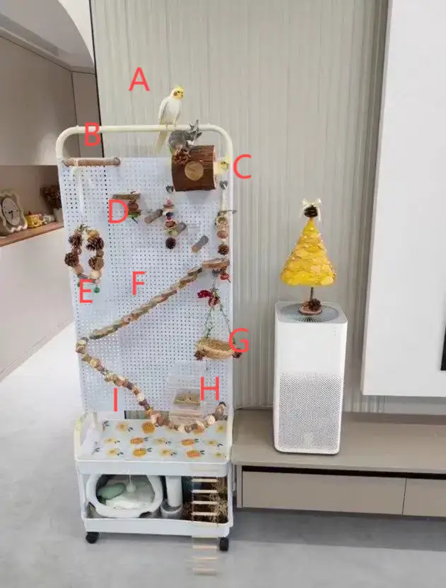 Parrot Movable Toy Wall Set  Birdcagelab
