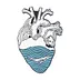 Corazón Marino Valiente