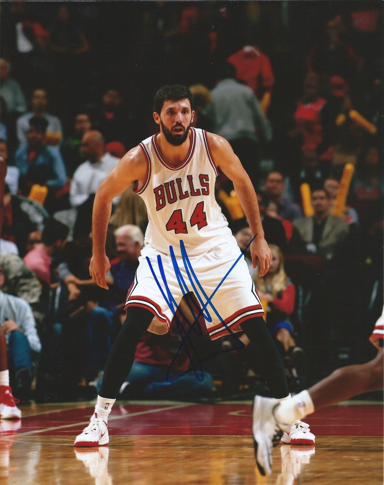 NIKOLA MIROTIC signed autographed CHICAGO BULLS 8x10 Photo Poster painting