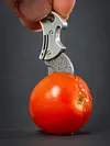 Stainless Steel Mini Compact Bottle Opener & EDC Cutter Multifunctional Bottle Opener Keychain Tool Small Pocket Knife for Packages Camping DIY & Everyday Carry Gear