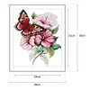 Cross Stitch-Butterfly (28x35cm)