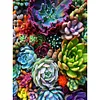 Diamond Painting -DIY Round Drill Succulent