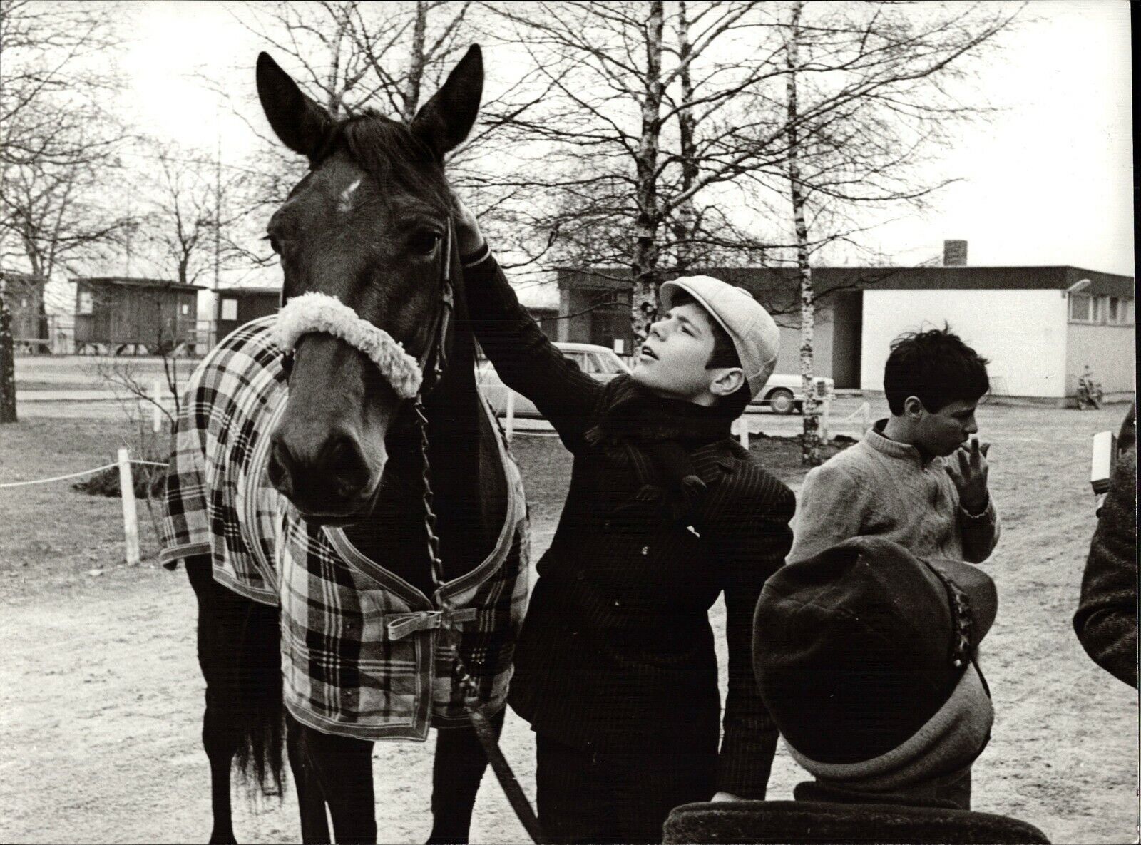 Heintje With Pferd Exquisit - Vintage Press Photo Poster painting Norbert Unfried (U-7008