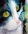 Cartoon Cat | Full Square Diamond Painting Kits