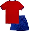 Quick Dry Short Sleeve T-shirt and Mesh Shorts Soccer Set Color: Red