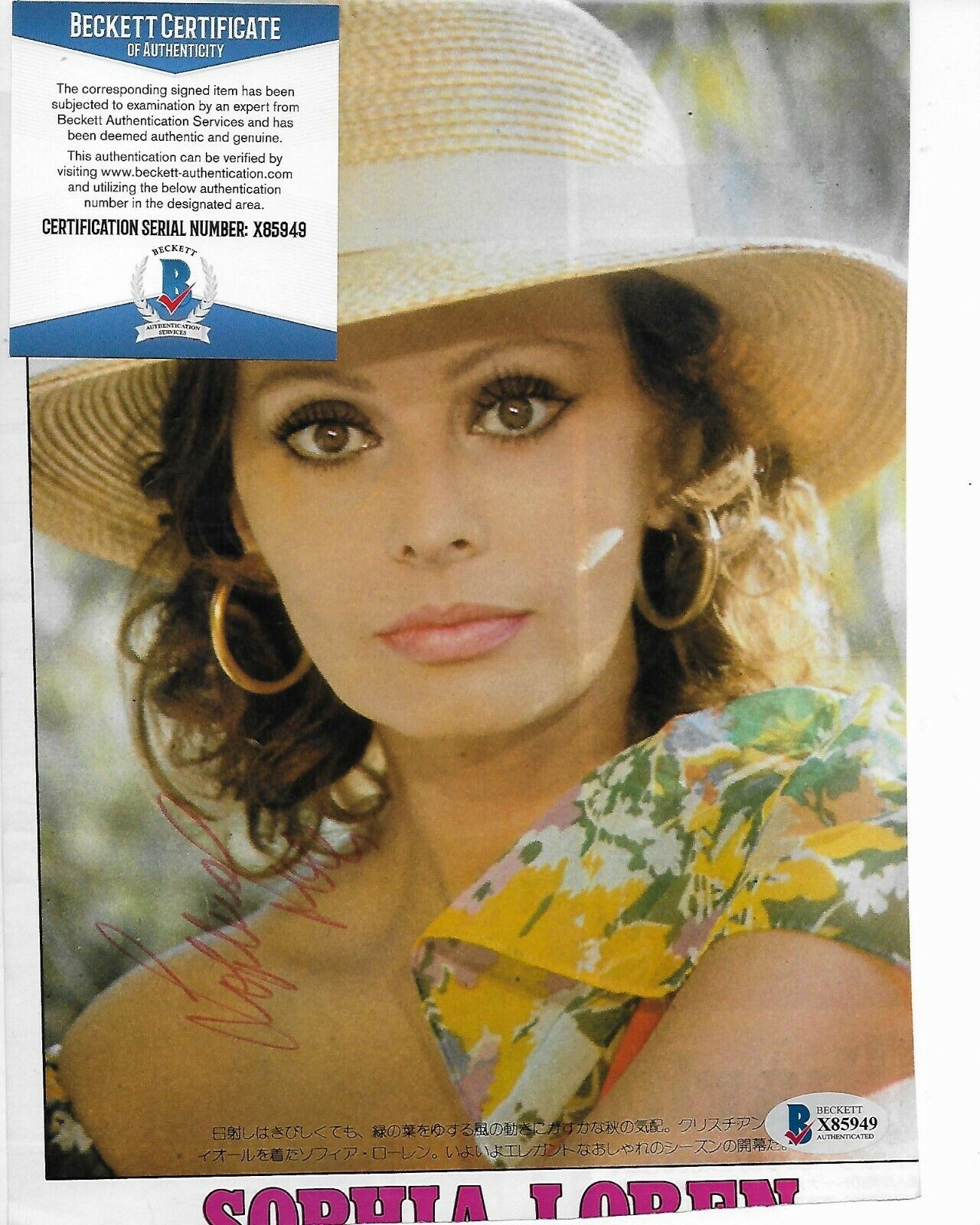 Sophia Loren Original Autographed Magazine Page w/Beckett COA