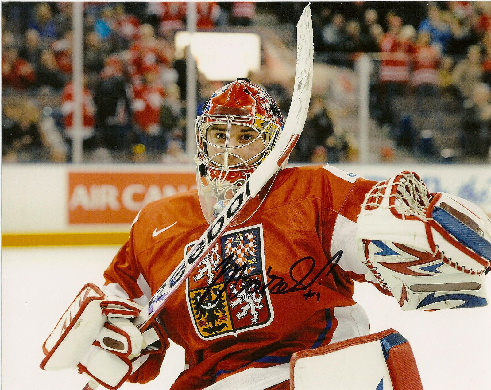 Detroit Red Wings Petr Mrazek Autographed Signed 8x10 Photo Poster painting COA