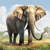 Diamond Painting-DIY Full Round Drill Elephant(35*35CM)