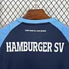 2024/2025 Hamburger SV Pre-Match Special Shirt Football Jersey 1:1 Thai Quality