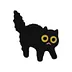 Gato Misterioso Negro