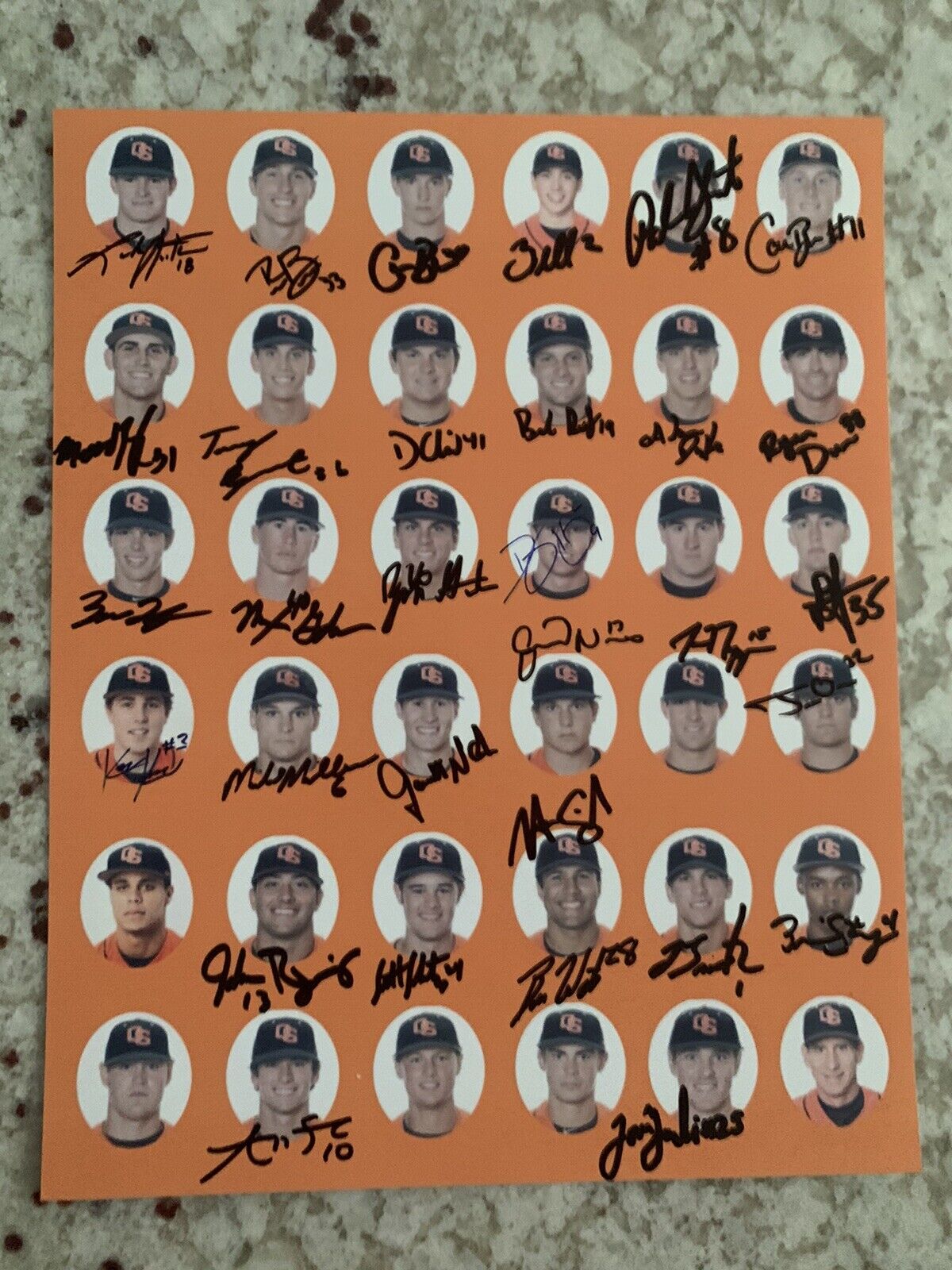 2011 Oregon State Beavers Baseball Team Signed 8x10 Photo Poster painting