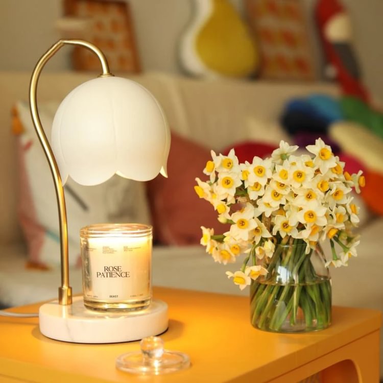 Aromatherapy Melting Wax Lamp-No Need To Ignite - Appledas