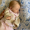 Babiesprincess Lifelike Reborn Baby Doll, Babiesprincess