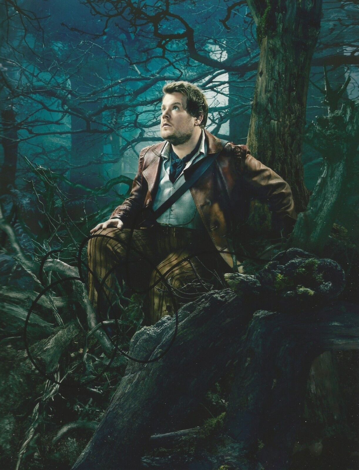 James Corden Signed Into The Woods 10x8 Photo Poster painting AFTAL