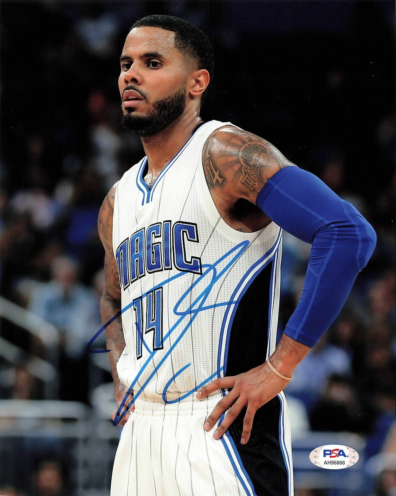 DJ Augustin Signed 8x10 Photo Poster painting PSA/DNA Orlando Magic Autographed