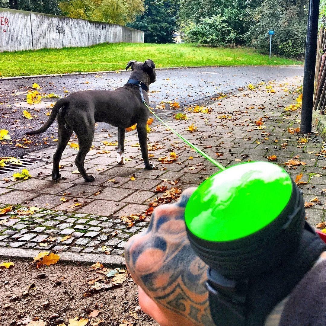 Hands-Free Dog Leash