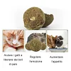 Gioiacombo&trade; Palline di erba gatta per la pulizia dei denti di gatto
