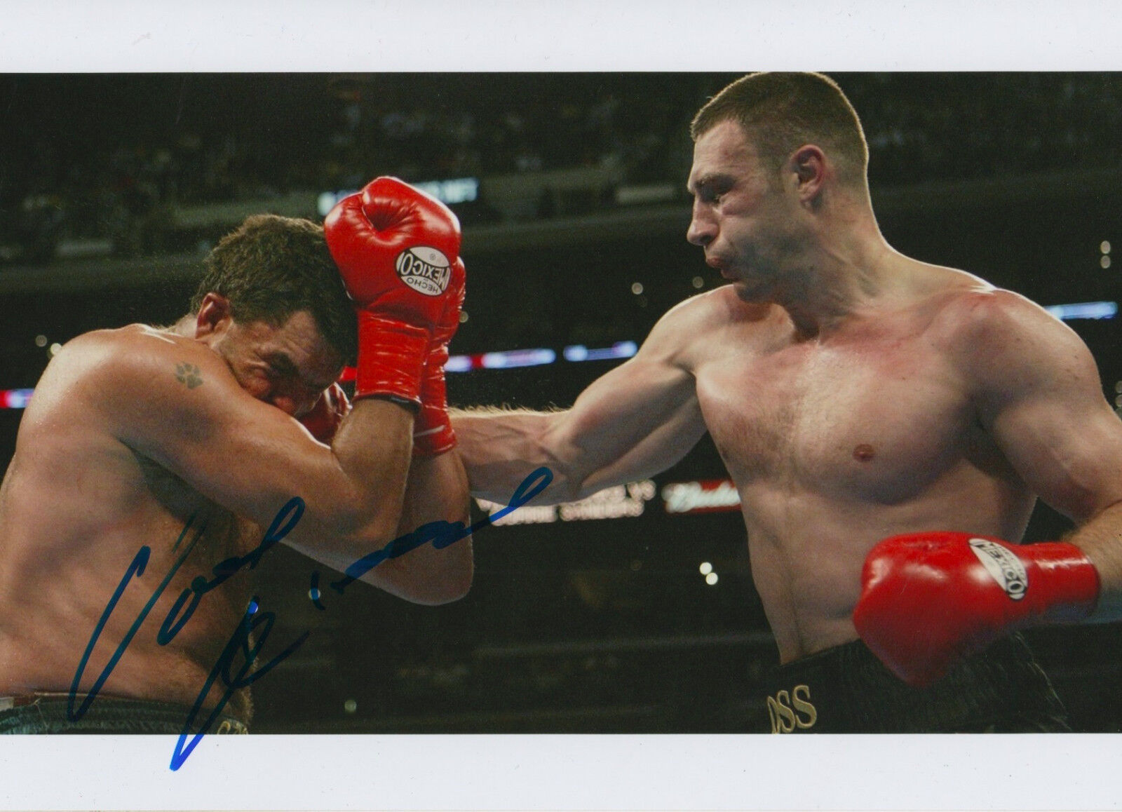 Vitali Klitschko signed 8x12 inch Photo Poster painting autograph