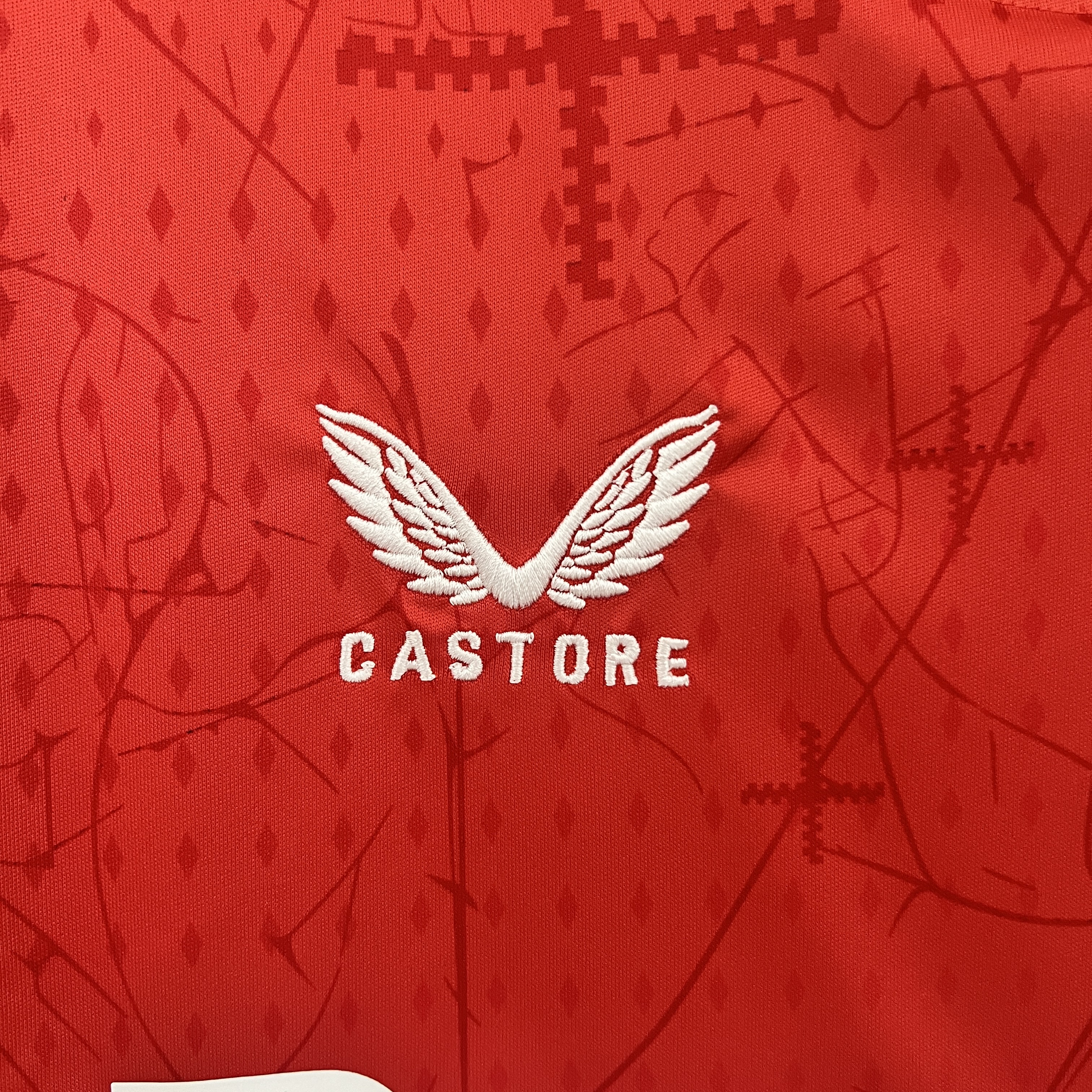 24/25 Leverkusen Home Football Shirt Thai Quality