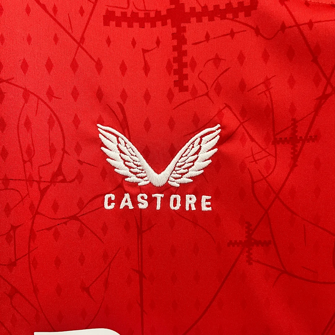 24/25 Leverkusen Home Football Shirt Thai Quality