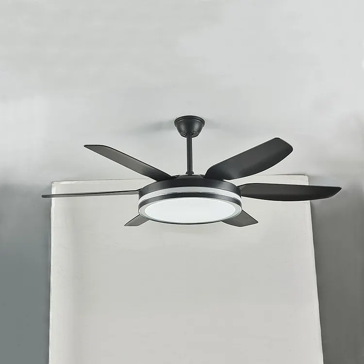 Haydn 6-blade ceiling fan with lighting Basic, 2 colors, &empty;130CM